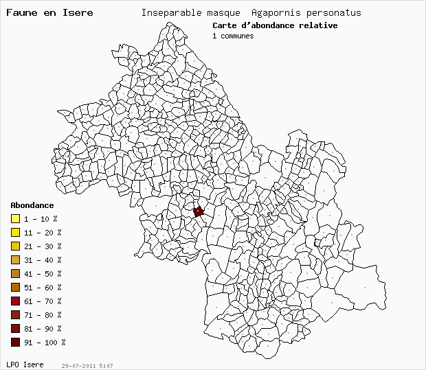 Carte Abondance: Insparable masqu Agapornis personatus en Isre