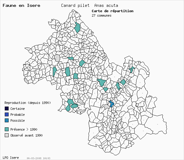 Carte Reproduction: Canard pilet Anas acuta en Isre