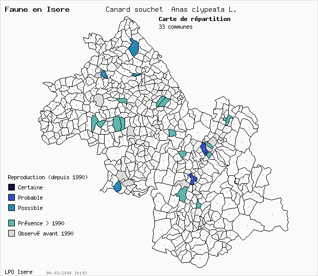 Carte Reproduction: Canard souchet Anas clypeata L. en Isre