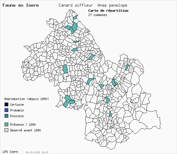 Carte Reproduction: Canard siffleur Anas penelope en Isre