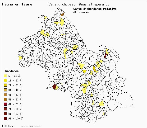 Carte Abondance: Canard chipeau Anas strepera L. en Isre