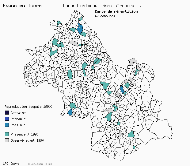 Carte Reproduction: Canard chipeau Anas strepera L. en Isre