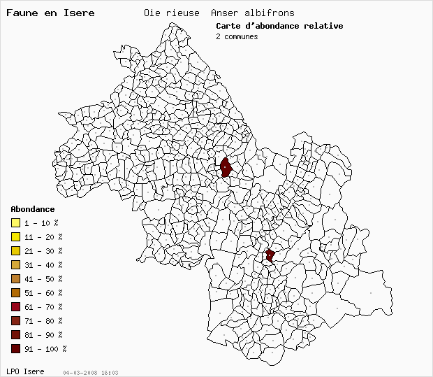 Carte Abondance: Oie rieuse Anser albifrons en Isre