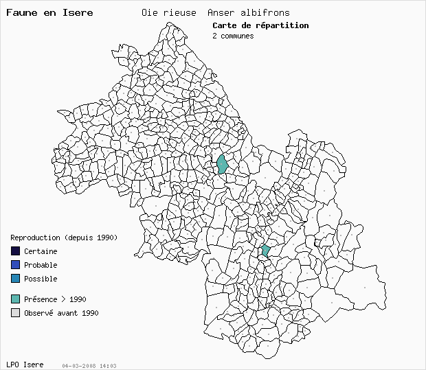 Carte Reproduction: Oie rieuse Anser albifrons en Isre