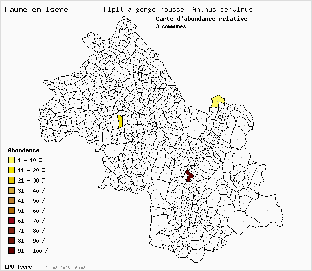 Carte Abondance: Pipit  gorge rousse Anthus cervinus en Isre
