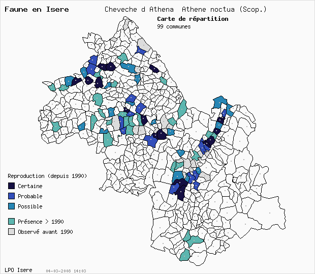 Carte Reproduction: Chevche d Athna Athene noctua (Scop.) en Isre