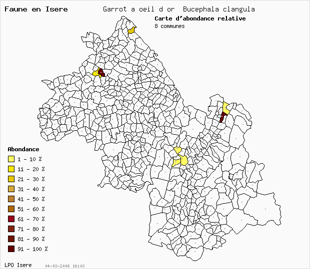Carte Abondance: Garrot  oeil d or Bucephala clangula en Isre