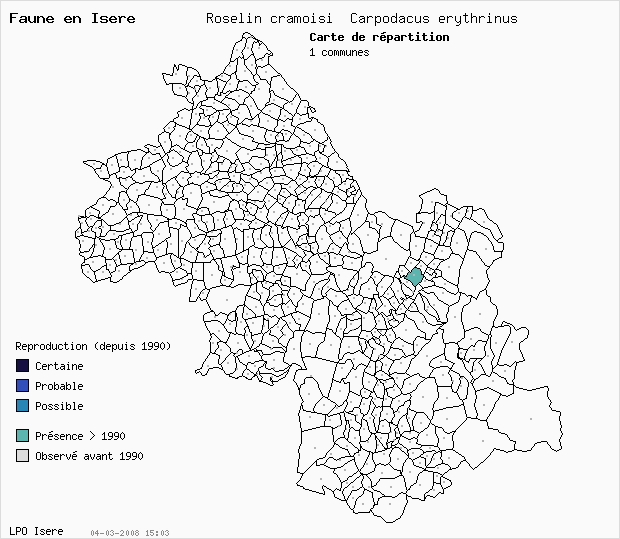 Carte Reproduction: Roselin cramoisi Carpodacus erythrinus en Isre