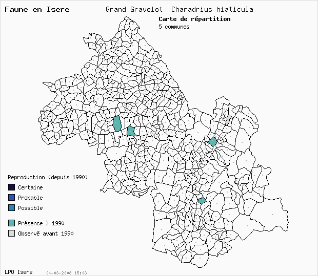 Carte Reproduction: Grand Gravelot Charadrius hiaticula en Isre