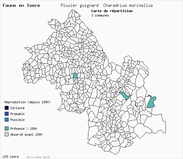 Carte Reproduction: Pluvier guignard Charadrius morinellus en Isre