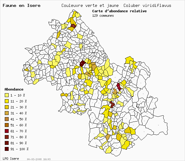 Carte Abondance: Couleuvre verte et jaune Coluber viridiflavus en Isre
