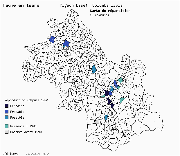 Carte Reproduction: Pigeon biset Columba livia en Isre