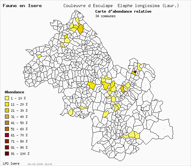 Carte Abondance: Couleuvre d Esculape Elaphe longissima (Laur.) en Isre