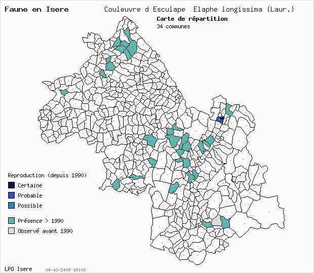 Carte Reproduction: Couleuvre d Esculape Elaphe longissima (Laur.) en Isre