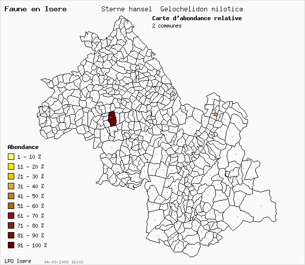Carte Abondance: Sterne hansel Gelochelidon nilotica en Isre