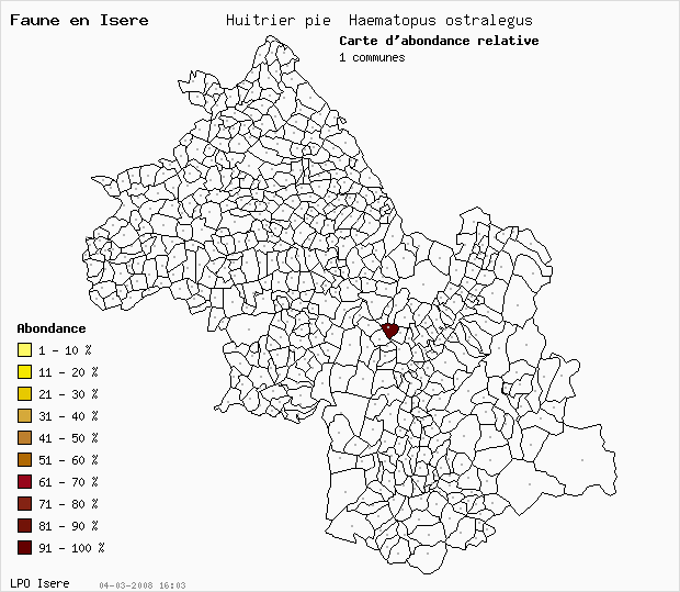 Carte Abondance: Hutrier pie Haematopus ostralegus en Isre