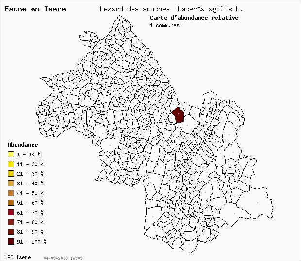 Carte Abondance: Lzard des souches Lacerta agilis L. en Isre
