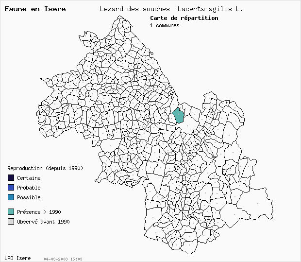 Carte Reproduction: Lzard des souches Lacerta agilis L. en Isre