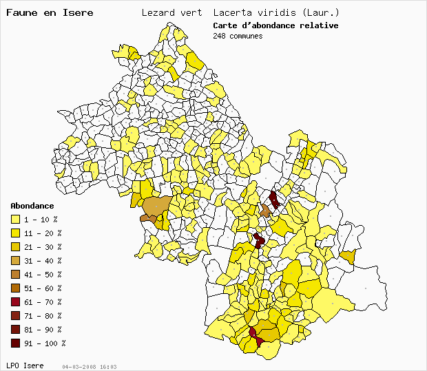 Carte Abondance: Lzard vert Lacerta viridis (Laur.) en Isre