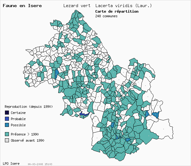Carte Reproduction: Lzard vert Lacerta viridis (Laur.) en Isre