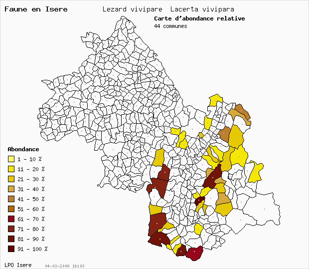 Carte Abondance: Lzard vivipare Lacerta vivipara en Isre