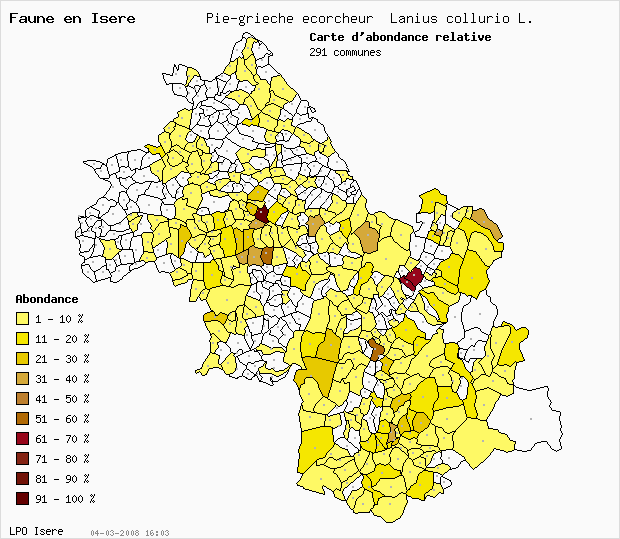 Carte Abondance: Pie-griche corcheur Lanius collurio L. en Isre
