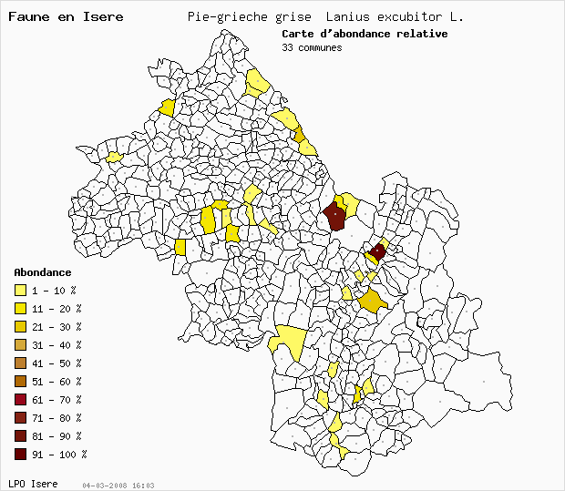 Carte Abondance: Pie-griche grise Lanius excubitor L. en Isre