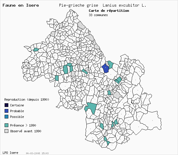 Carte Reproduction: Pie-griche grise Lanius excubitor L. en Isre