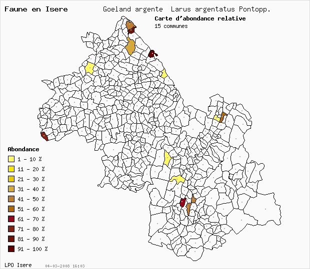 Carte Abondance: Goland argent Larus argentatus Pontopp. en Isre