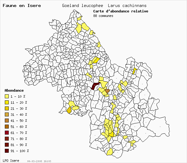Carte Abondance: Goland leucophe Larus cachinnans en Isre