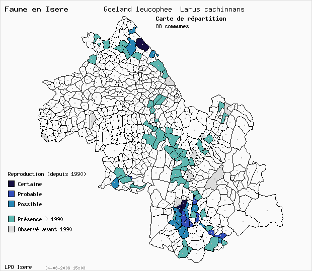 Carte Reproduction: Goland leucophe Larus cachinnans en Isre