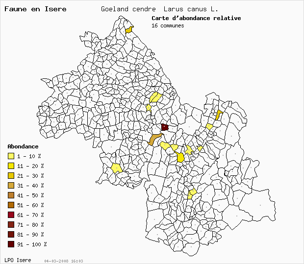 Carte Abondance: Goland cendr Larus canus L. en Isre