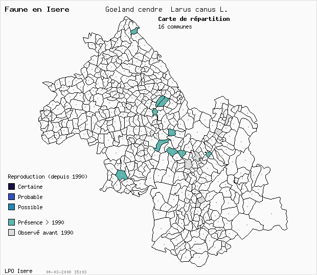 Carte Reproduction: Goland cendr Larus canus L. en Isre