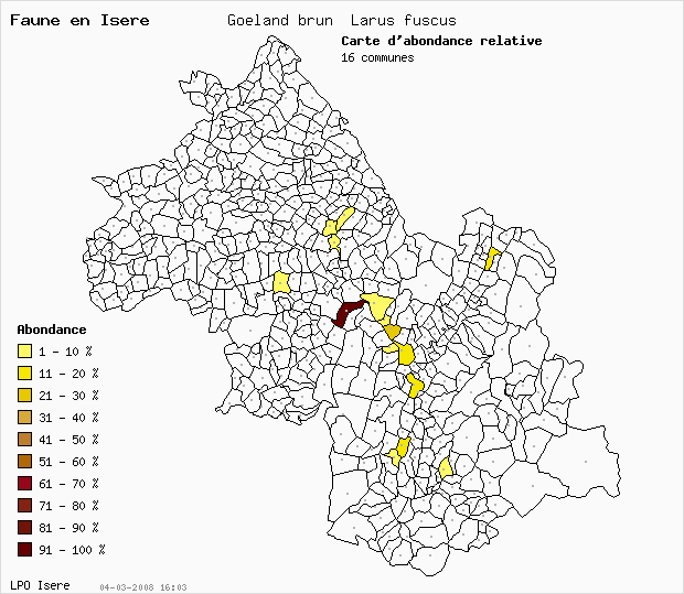 Carte Abondance: Goland brun Larus fuscus en Isre