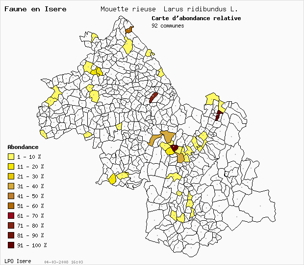 Carte Abondance: Mouette rieuse Larus ridibundus L. en Isre