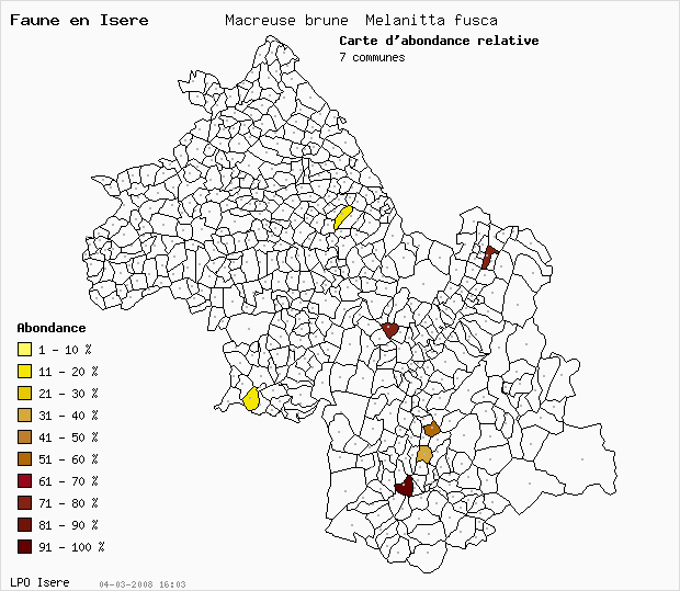 Carte Abondance: Macreuse brune Melanitta fusca en Isre