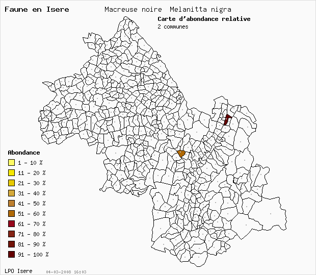 Carte Abondance: Macreuse noire Melanitta nigra en Isre