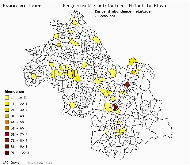 Carte Abondance: Bergeronnette printanire Motacilla flava en Isre
