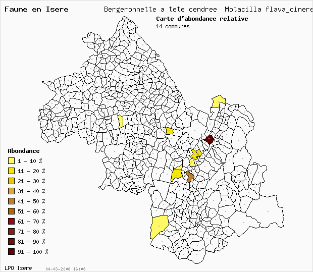 Carte Abondance: Bergeronnette  tte cendre Motacilla flava_cinereocapilla en Isre