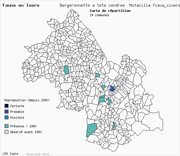 Carte Reproduction: Bergeronnette  tte cendre Motacilla flava_cinereocapilla en Isre