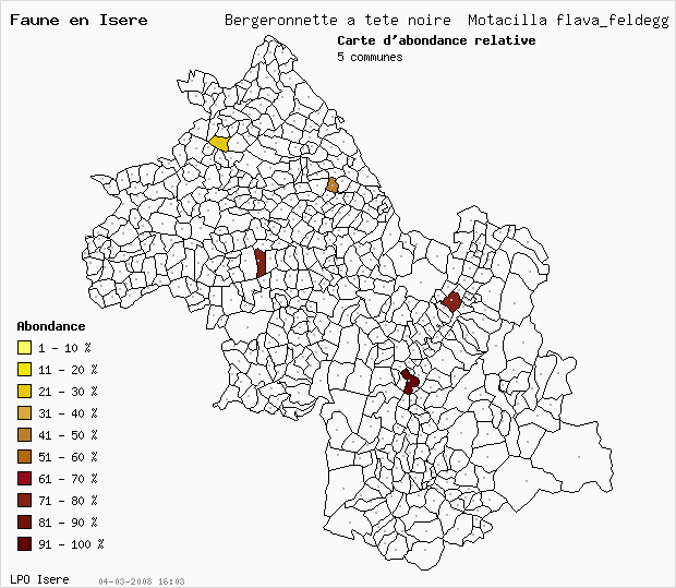 Carte Abondance: Bergeronnette  tte noire Motacilla flava_feldegg en Isre