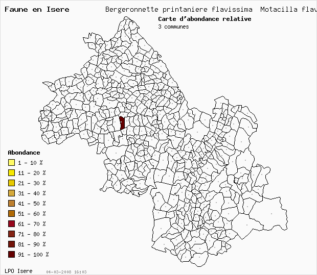 Carte Abondance: Bergeronnette printanire flavissima Motacilla flava_flavissima en Isre