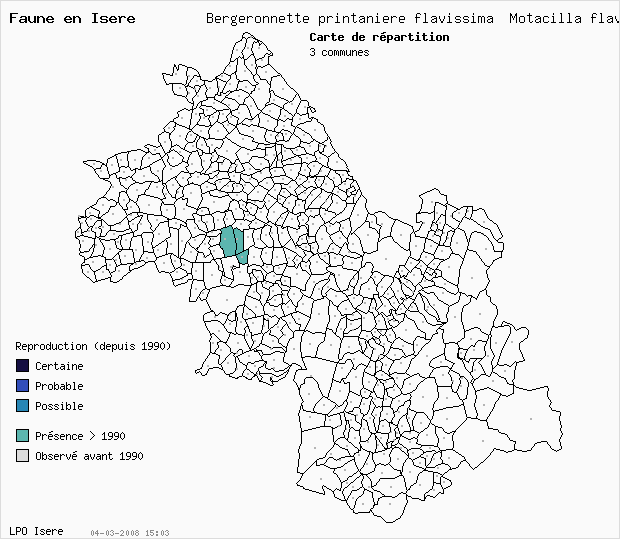 Carte Reproduction: Bergeronnette printanire flavissima Motacilla flava_flavissima en Isre