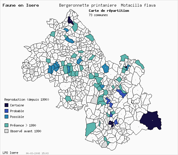 Carte Reproduction: Bergeronnette printanire Motacilla flava en Isre