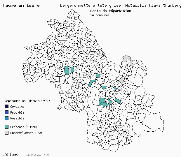 Carte Reproduction: Bergeronnette  tte grise Motacilla flava_thunbergi en Isre