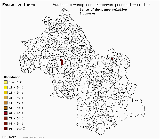 Carte Abondance: Vautour percnoptre Neophron percnopterus (L.) en Isre