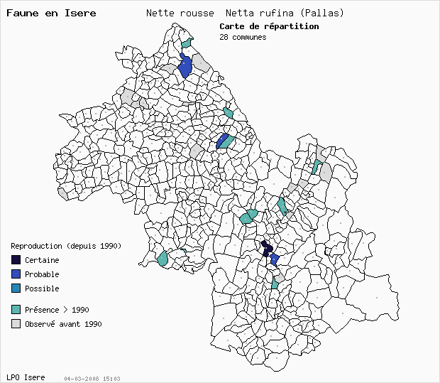 Carte Reproduction: Nette rousse Netta rufina (Pallas) en Isre