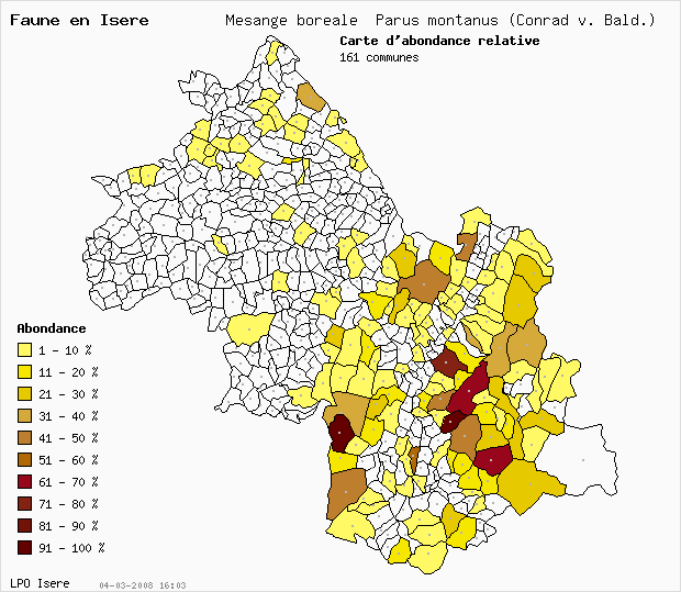 Carte Abondance: Msange borale Parus montanus (Conrad v. Bald.) en Isre