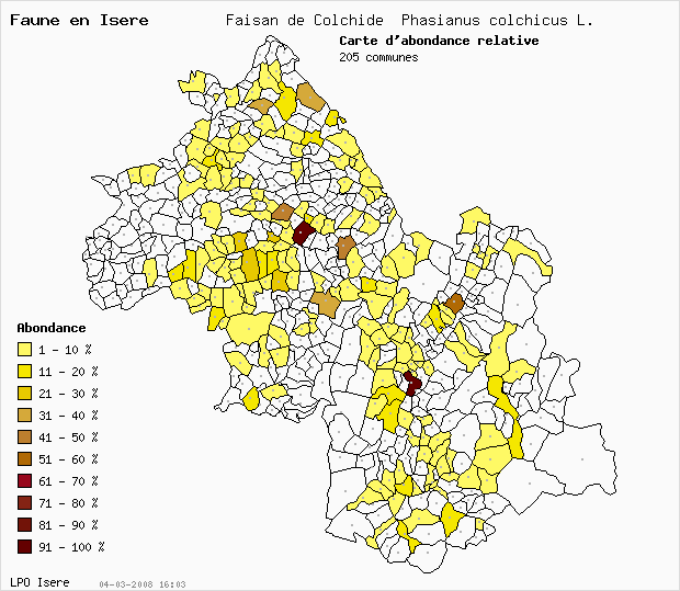 Carte Abondance: Faisan de Colchide Phasianus colchicus L. en Isre