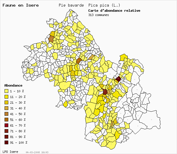 Carte Abondance: Pie bavarde Pica pica (L.) en Isre